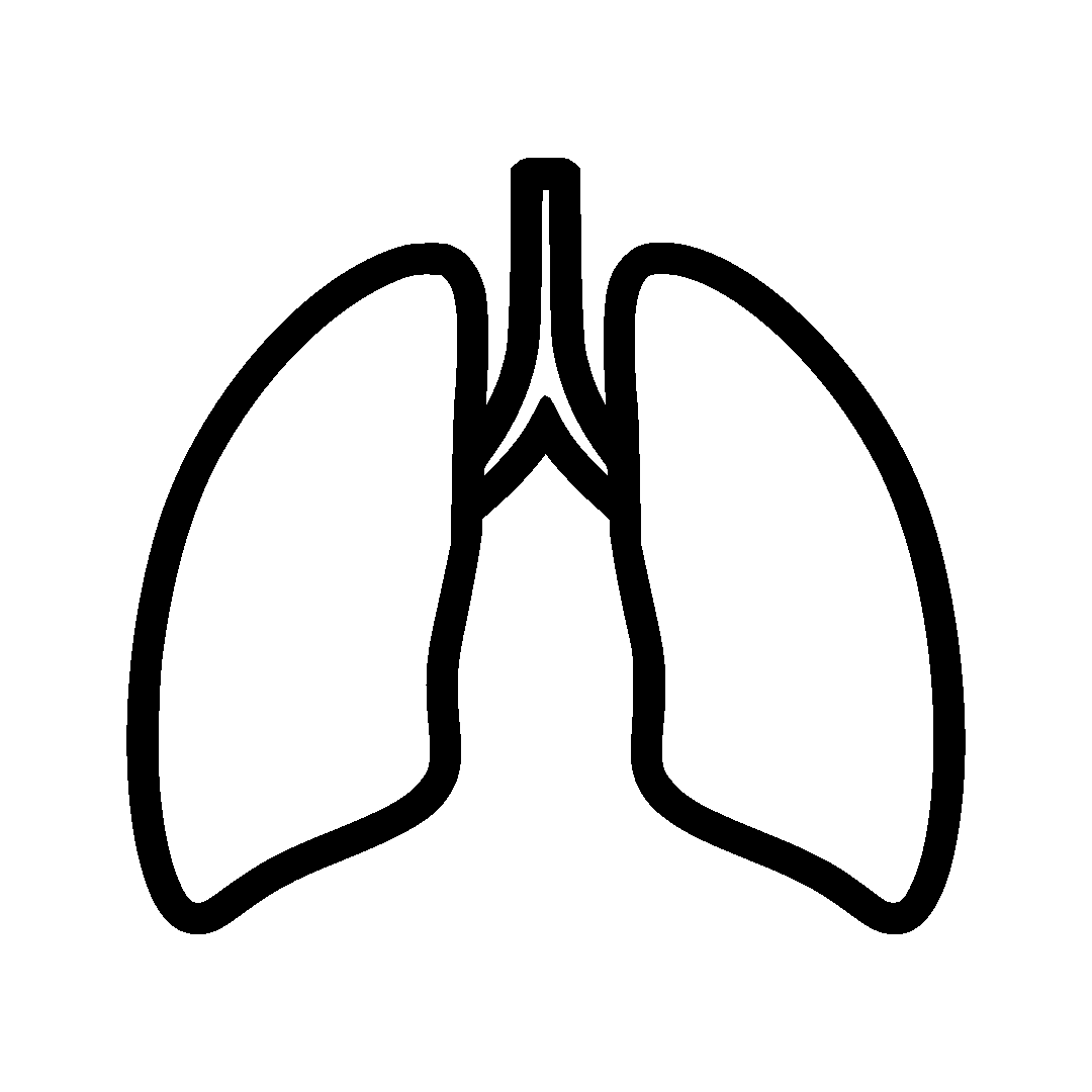Airofit_lungs